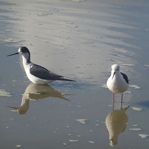 Safari Zoological Center 15.12.12