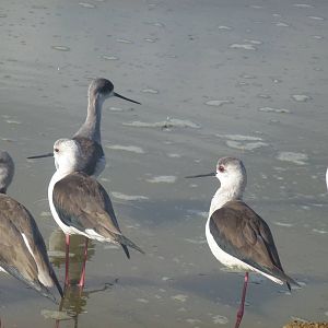 Safari Zoological Center 15.12.12