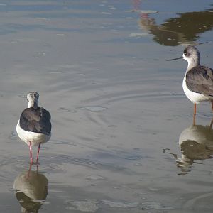 Safari Zoological Center 15.12.12