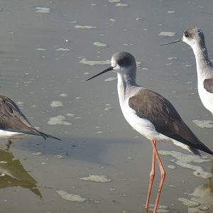 Safari Zoological Center 15.12.12