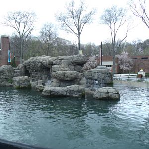 California Sea Lion Enclosure