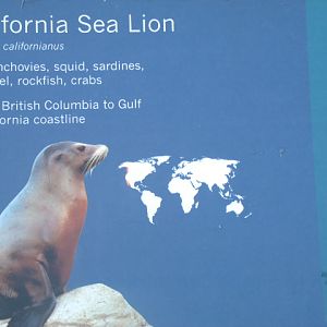 California Sea Lion Signage