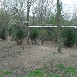Dingo Enclosure