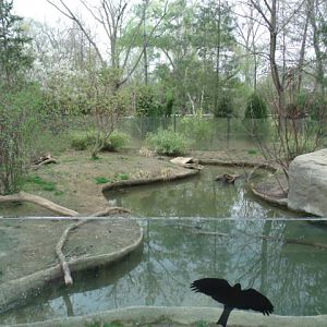 North American River Otter Enclosure