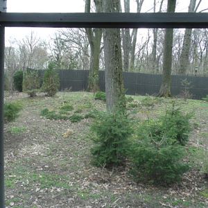 Tufted Deer Enclosure (Part 1)