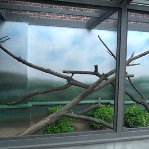 Renovated Exhibit #3