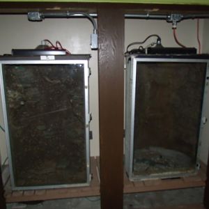 Renovated Exhibits #4 and #5