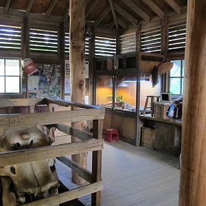 Elephant Research Station - Melbourne Zoo April 2013