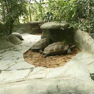 Pavilion of Big Tortoises