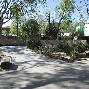 Banded mongoose exhibit - Zoo Barcelona