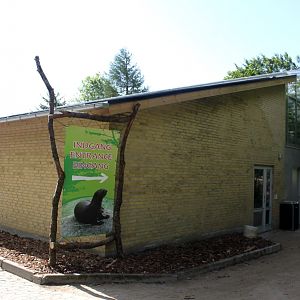 Givskud Zoo - Giant Otter Tropical House
