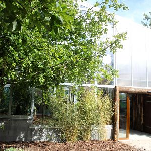 Givskud Zoo - Giant Otter Tropical House