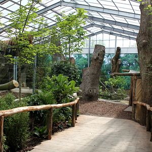Givskud Zoo - Giant Otter Tropical House