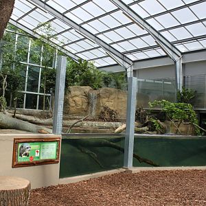 Givskud Zoo - Giant Otter Tropical House