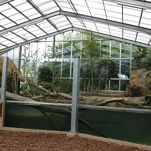 Givskud Zoo - Giant Otter Tropical House
