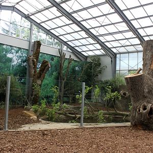 Givskud Zoo - Giant Otter Tropical House