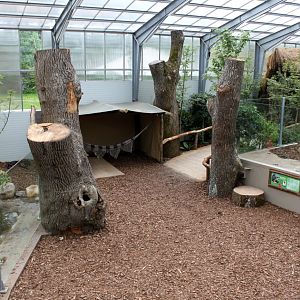Givskud Zoo - Giant Otter Tropical House
