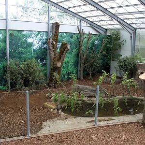 Givskud Zoo - Giant Otter Tropical House