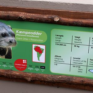 Givskud Zoo - Giant Otter Tropical House