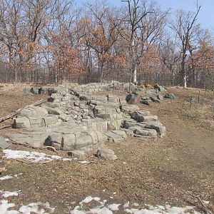 Northern Trail Takin Exhibit