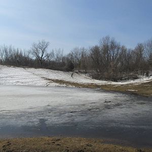 Northern Trail Bison Exhibit