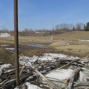Northern Trail Wild Horse Exhibit