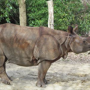 Cincinnati Zoo April 2013