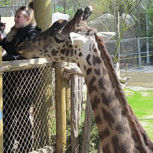 Cincinnati Zoo April 2013