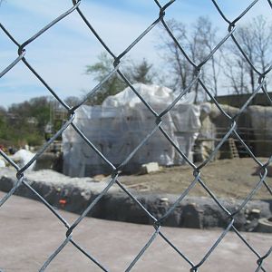 Cincinnati Zoo April 2013