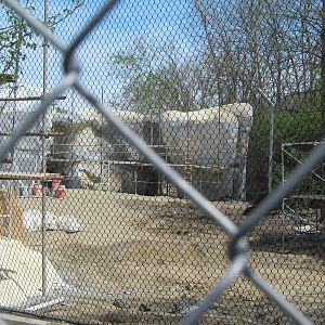 Cincinnati Zoo April 2013