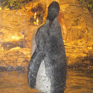 Cincinnati Zoo April 2013