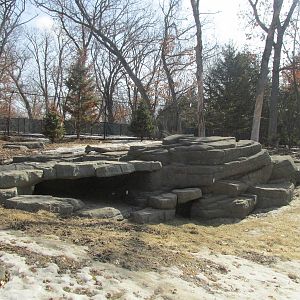 Northern Trail Dhole Exhibit