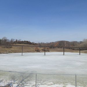 Northern Trail Musk Ox Exhibit