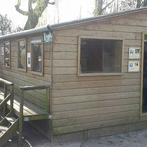 building with enclosures for bearded dragons, mice and tamanduas