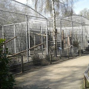 Enclosure for Sri Lanka leopards