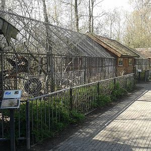 Enclosures for Raccoons, lynx and servals