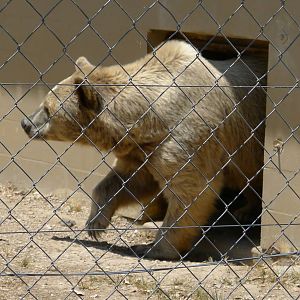 The younger siblings are let out