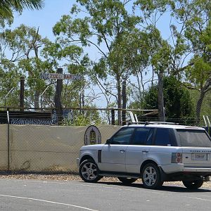 Breakfast with the Beasts (lions)