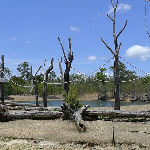 Siamang Island in the Hippo lake