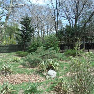 Wallaby/Goose/Kangaroo Enclosure (Part 2)