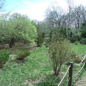 Wallaby/Goose/Kangaroo Enclosure (Part 3)