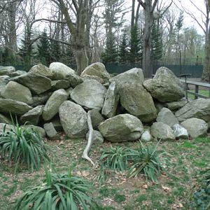 Wallaby/Goose/Kangaroo Enclosure (Part 5)