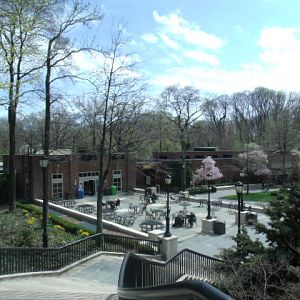 Prospect Park Zoo (Part 1)
