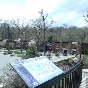 Prospect Park Zoo (Part 3)