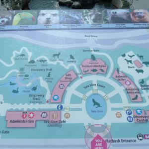 Zoo Map
