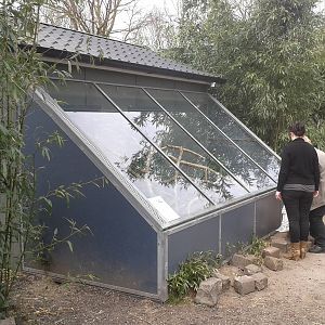 enclosure ring-tailed mongoose