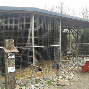 tayra enclosure