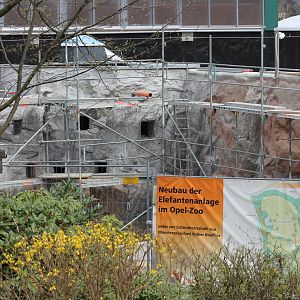 Construction work of elephant house