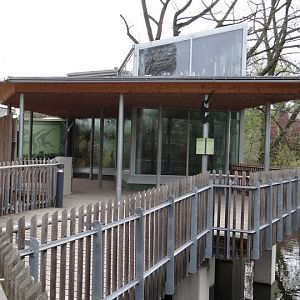 Pavilion of Hylobatidae