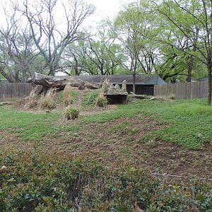 Cheetah Conservation Station- Sitatunga/Red River Hog Exhibit